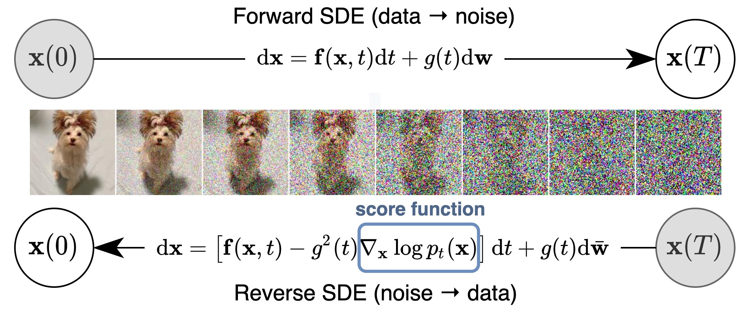 reverse langevin dynamics
